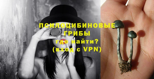 метадон Алексин