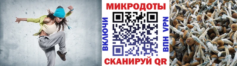 сколько стоит  Краснослободск  Галлюциногенные грибы Psilocybine cubensis 